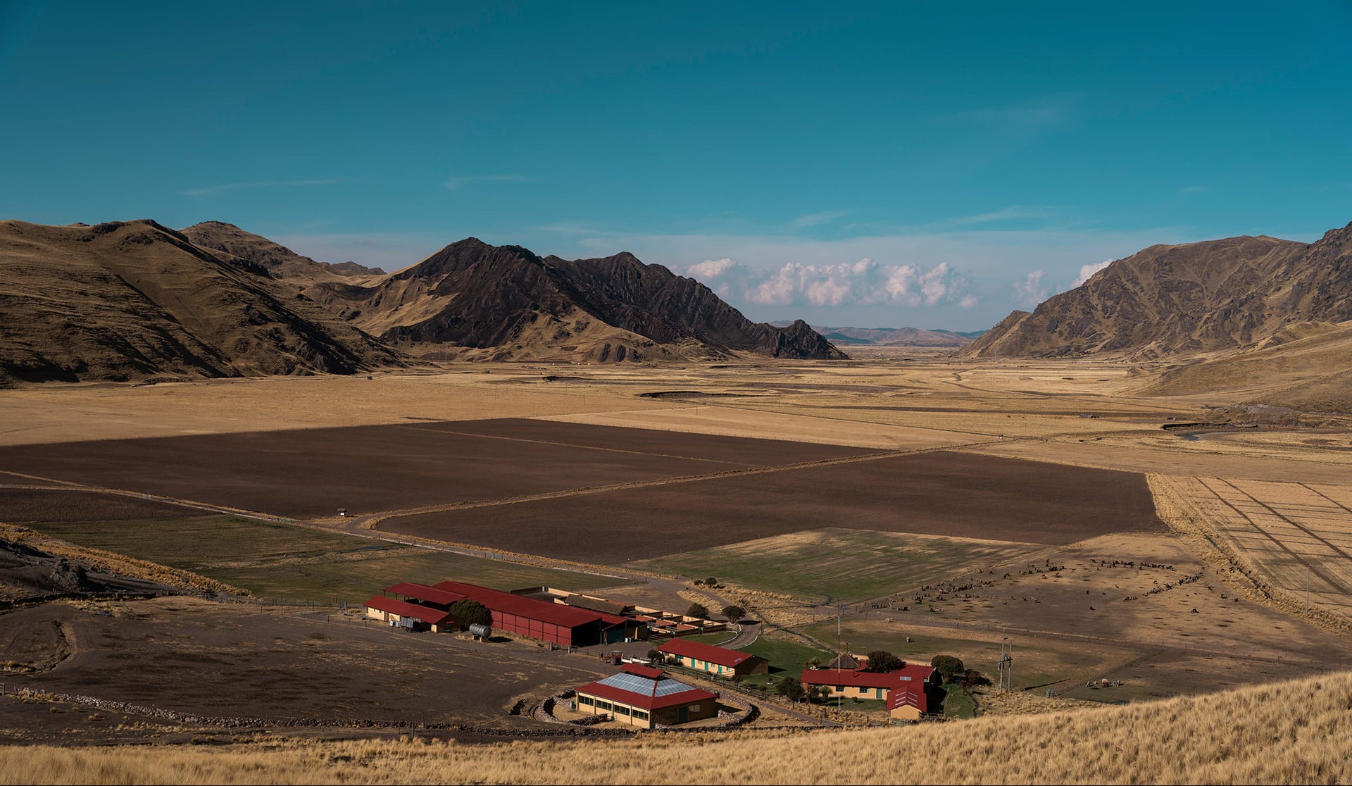 WHAT MAKESALPACAGARMENTS