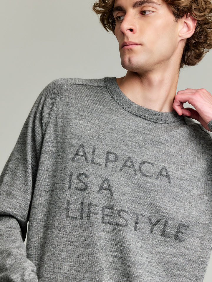 Suéter Yours De Baby Alpaca Color Gris