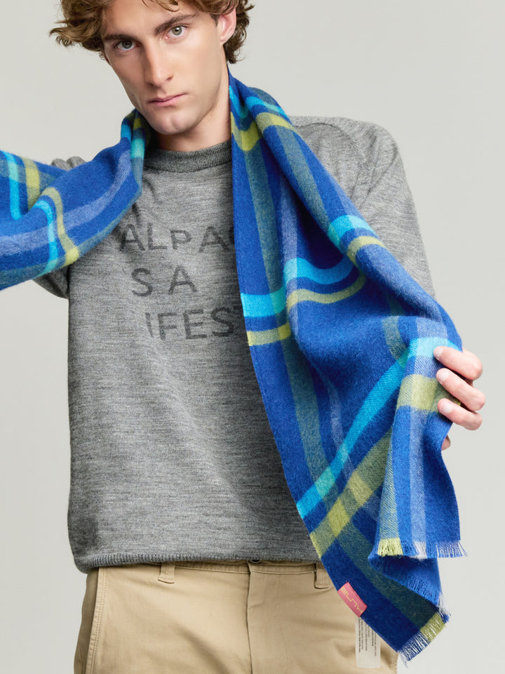 Vallejos Baby Alpaca Scarf in Blue