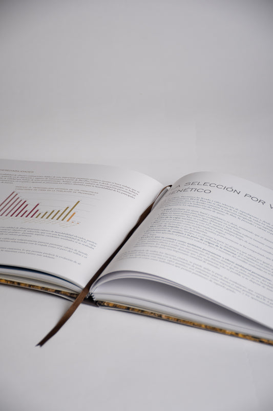 Libro Pacomarca Book