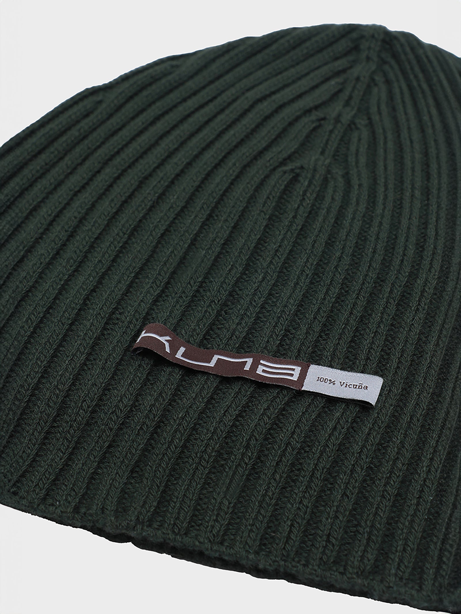 Benji Beanie Vicuña Color Green