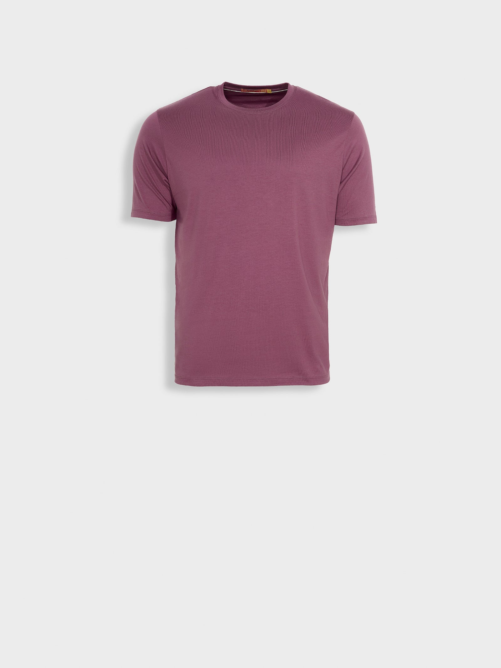 Winchester Pima Polo Shirt in Blue Cotton Color Purple