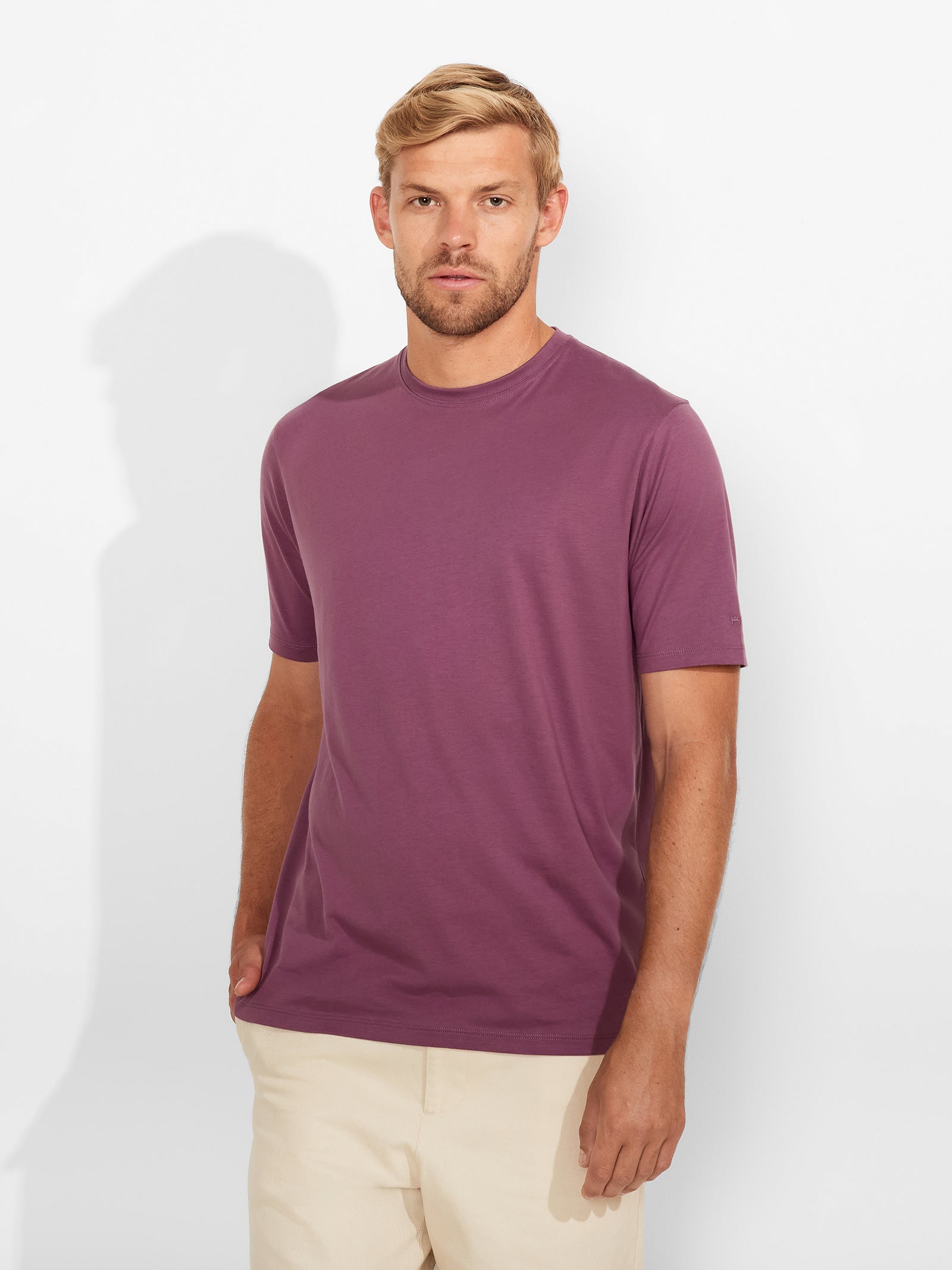 Winchester Pima Polo Shirt in Blue Cotton Color Purple
