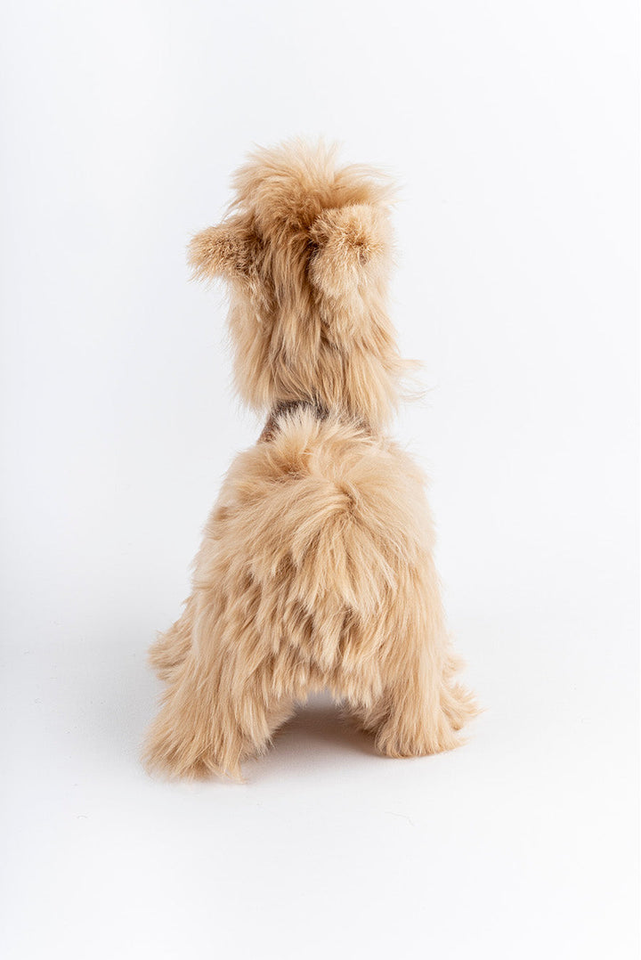 Peluche Alpaca Luluy De Alpaca Suri Color Crema